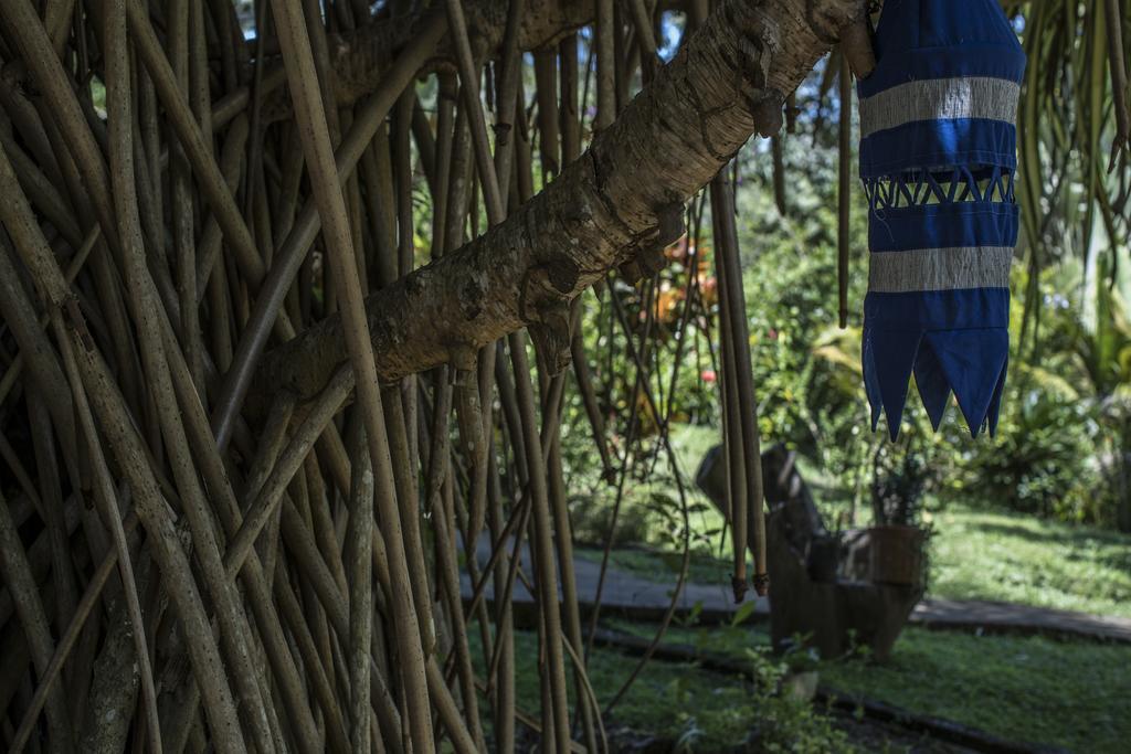Blanconejo De Montezuma Villa Eksteriør billede