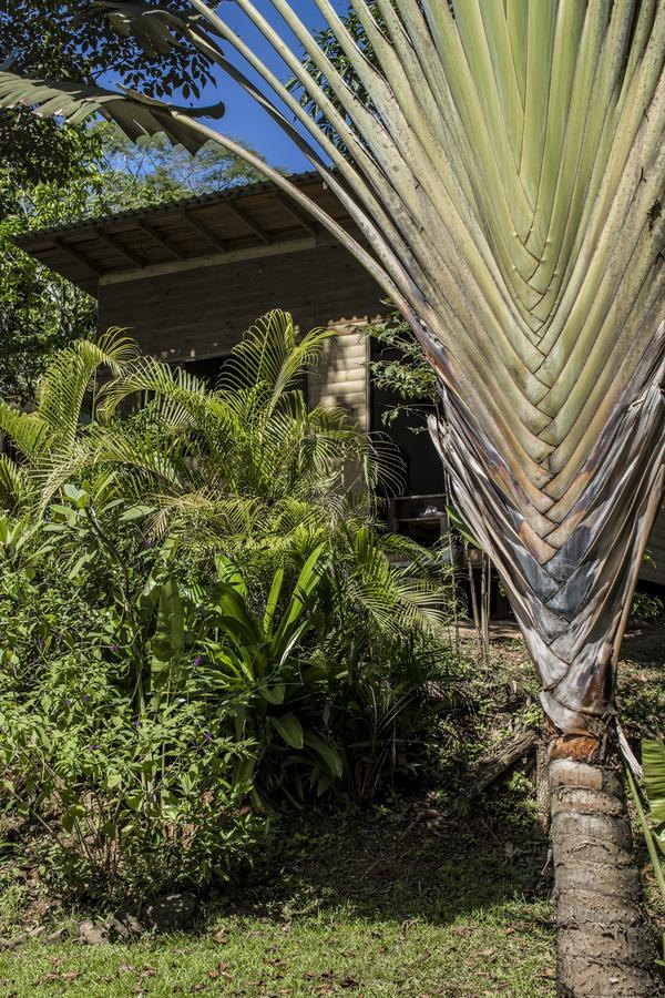 Blanconejo De Montezuma Villa Eksteriør billede