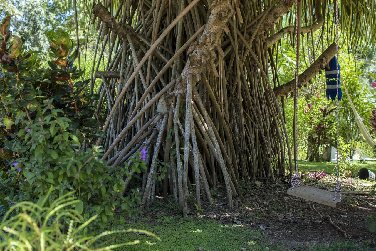 Blanconejo De Montezuma Villa Eksteriør billede