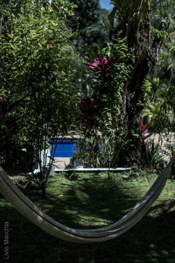 Blanconejo De Montezuma Villa Eksteriør billede