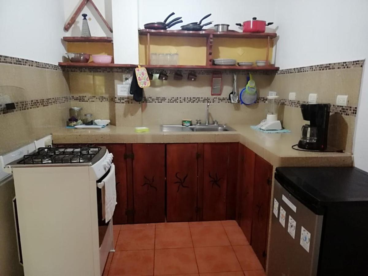Blanconejo De Montezuma Villa Eksteriør billede