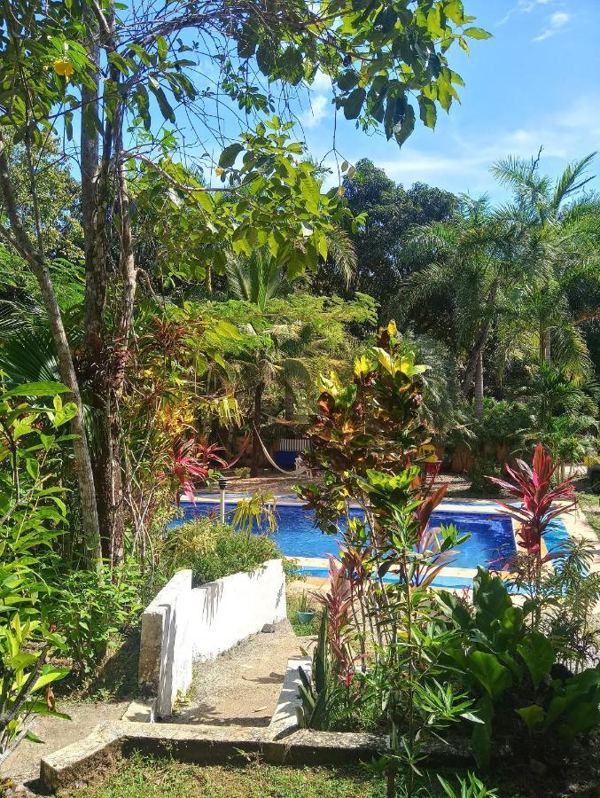 Blanconejo De Montezuma Villa Eksteriør billede